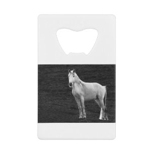 LIN10BW Stance.tif Creditkaart Flessenopener