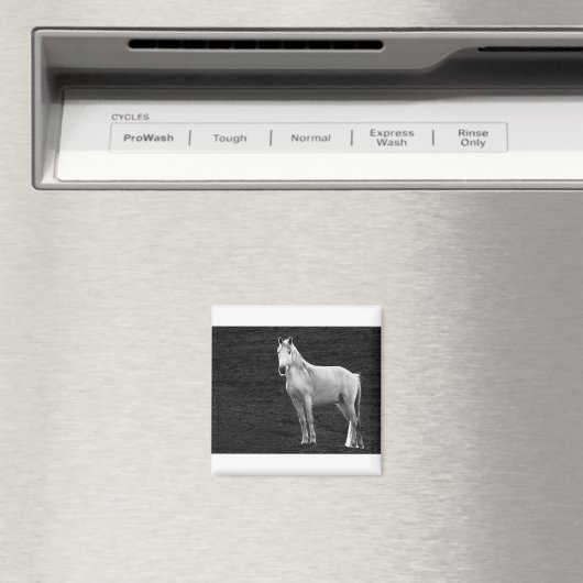 LIN10BW Stance.tif Magneet (Insitu (Vaatwasser))