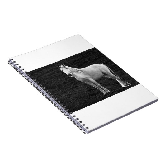 LIN10BW Stance.tif Notitieboek (Rechterzijde)