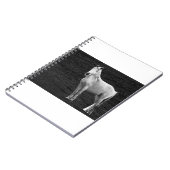 LIN10BW Stance.tif Notitieboek (Linkerzijde)