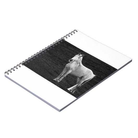 LIN10BW Stance.tif Notitieboek (Linkerzijde)