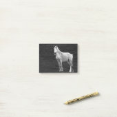 LIN10BW Stance.tif Post-it® Notes (Op bureau)