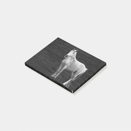 LIN10BW Stance.tif Post-it® Notes (Schuin)