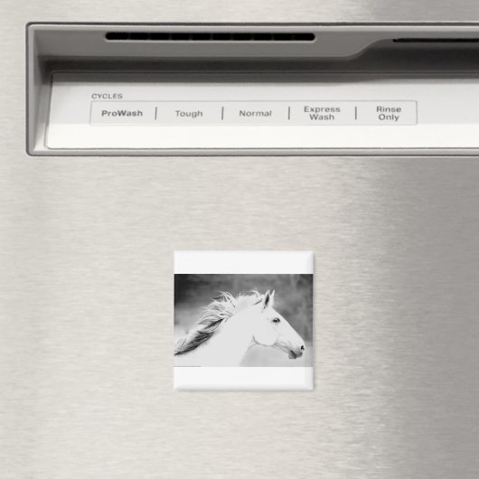 LIN26BW-mane in de Wind.tif Magneet (Insitu (Vaatwasser))