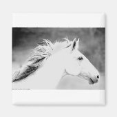 LIN26BW-mane in de Wind.tif Magneet (Voorkant)