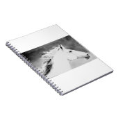 LIN26BW-mane in de Wind.tif Notitieboek (Rechterzijde)