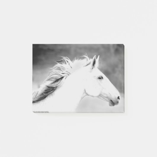 LIN26BW-mane in de Wind.tif Post-it® Notes (Voorkant)