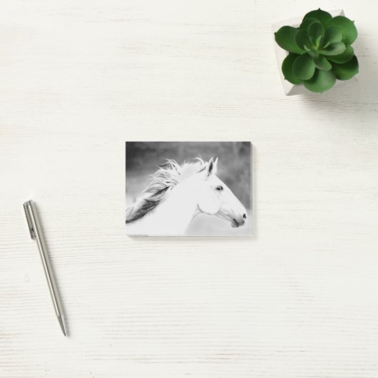 LIN26BW-mane in de Wind.tif Post-it® Notes (Kantoor)