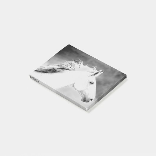 LIN26BW-mane in de Wind.tif Post-it® Notes (Schuin)