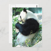 Lin Hui Briefkaart (Voorkant / Achterkant)