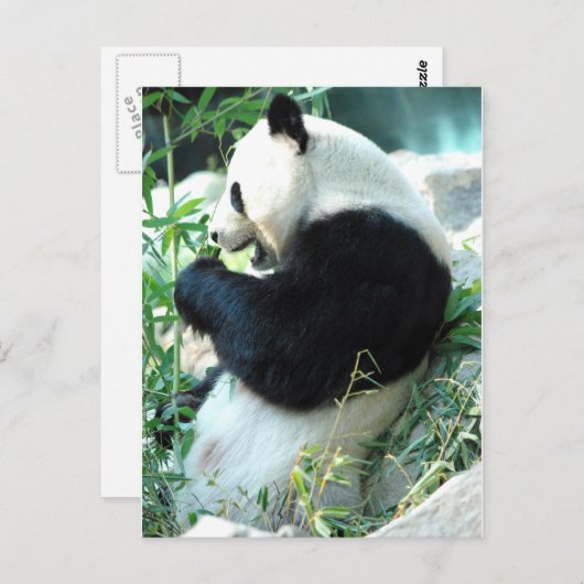 Lin Hui Briefkaart (Voorkant / Achterkant)