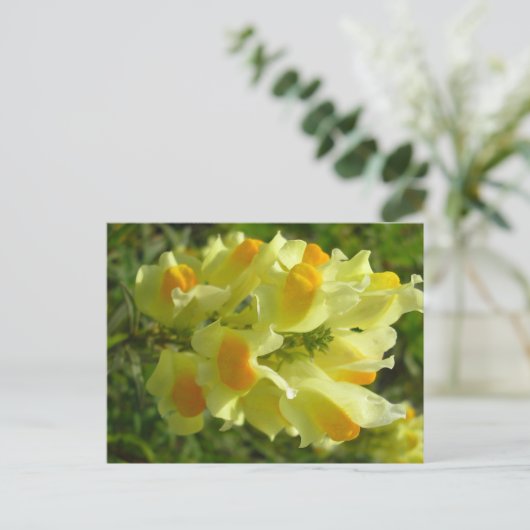 Linaire vulgaire briefkaart (Staand voorkant)