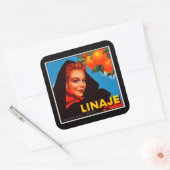 Linaje Citrus Vierkante Sticker (Envelop)