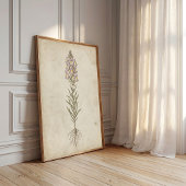 Linaria Bloom Vintage Wandkunst Poster