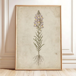 Linaria Bloom Vintage Wandkunst Poster