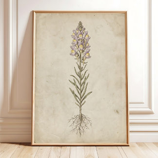 Linaria Bloom Vintage Wandkunst Poster