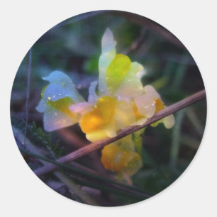 Linaria Glow Ronde Sticker