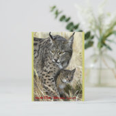 Lince Ibérico - Iberian Lynx Briefkaart (Staand voorkant)