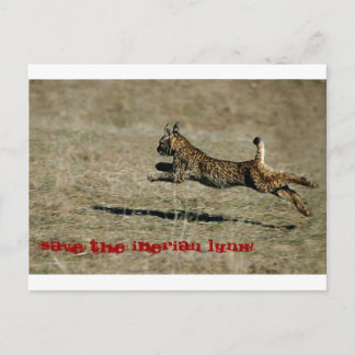 LINCE IBÉRICO, Red de Iberische Lynx! Briefkaart