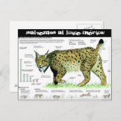 Lince-iberico,© Salvemos al lince ibérico! Briefkaart (Voorkant / Achterkant)