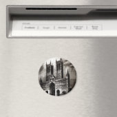 Lincoln Cathedral Magneet (Insitu (Vaatwasser))