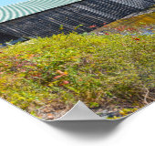 Lincoln Covered Bridge, Autumn, Woodstock, Vermont Poster (Hoek)