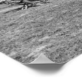 Lincoln en McClellan in Antietam Poster (Hoek)