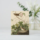 Lincoln Finch Briefkaart (Staand voorkant)