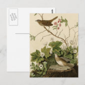 Lincoln Finch Briefkaart (Voorkant / Achterkant)