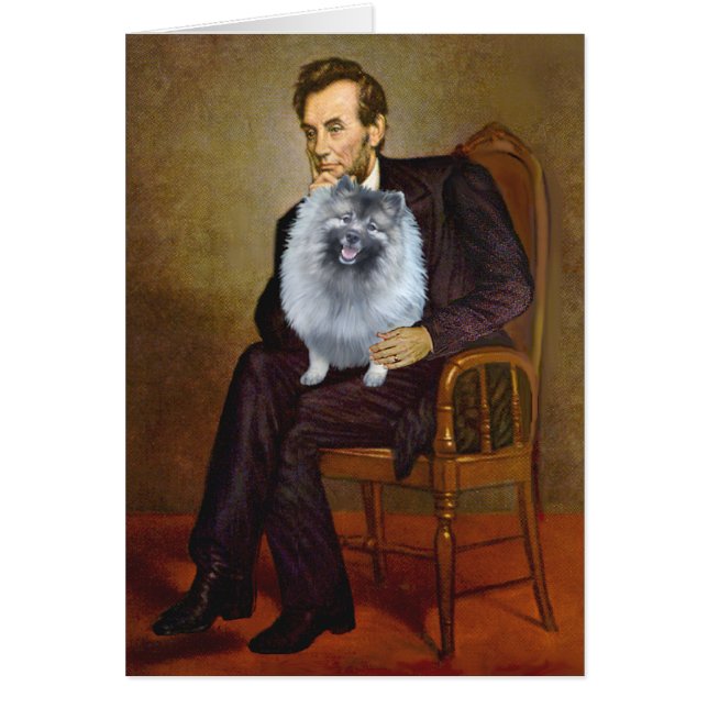 Lincoln - Keeshond (F) (Voorkant)