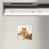  Lincoln Magneet (Insitu (Vaatwasser))