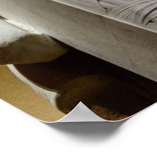 Lincoln Memorial door Diacritisch Poster (Hoek)