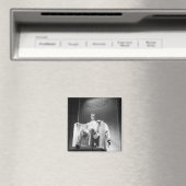 Lincoln Memorial Magneet (Insitu (Vaatwasser))