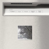 Lincoln Memorial Wintersneeuw Magneet (Insitu (Vaatwasser))