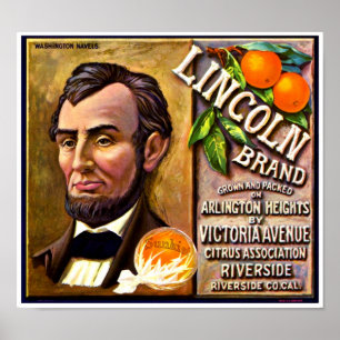 Lincoln Merken Sinaasappel Fruit Crate Label Poster
