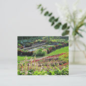 Lincoln, Nebraska Sunken Gardens #223 Briefkaart (Staand voorkant)