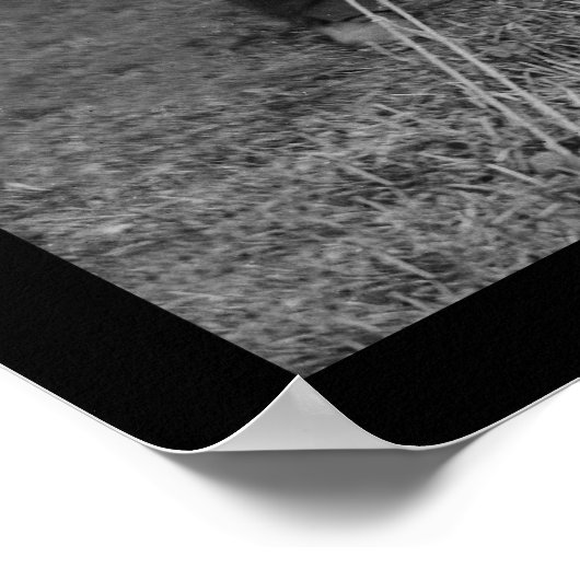 Lincoln, Pinkerton en McClernand 1862 Poster (Hoek)