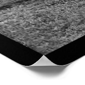 Lincoln, Pinkerton en McClernand in Antietam 1862 Poster (Hoek)