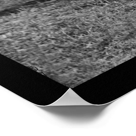 Lincoln, Pinkerton en McClernand in Antietam 1862 Poster (Hoek)