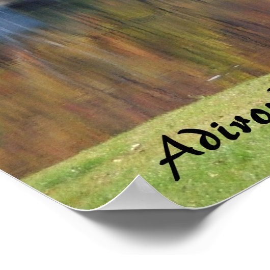 Lincoln Pond Poster (Hoek)