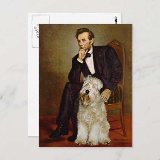 Lincoln - Wheaten Terrier 7 Briefkaart (Voorkant / Achterkant)