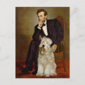 Lincoln - Wheaten Terrier 7 Briefkaart (Voorkant)