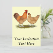 Lincolnshire Buff Chickens Kaart (Staand voorkant)