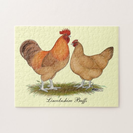 Lincolnshire Buff Chickens Legpuzzel (Horizontaal)