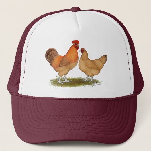 Lincolnshire Buff Chickens Trucker Pet (Voorkant)