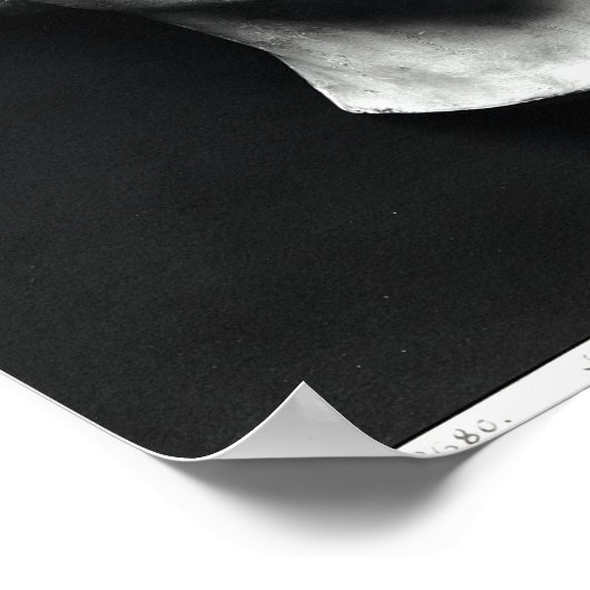 L'Inconnue de la Seine' Poster (Hoek)