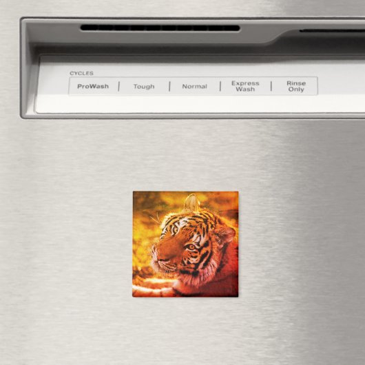 Linda Expressão de Tigre Deitado. Magneet (Insitu (Vaatwasser))