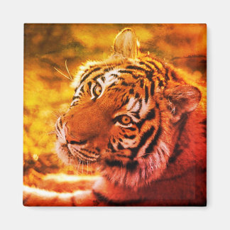 Linda Expressão de Tigre Deitado. Magneet