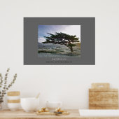 Linda Mar Cypress Poster (Keuken)