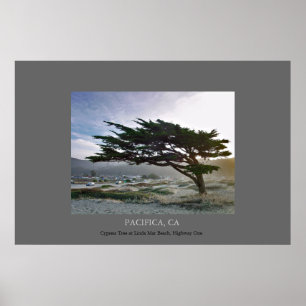 Linda Mar Cypress Poster